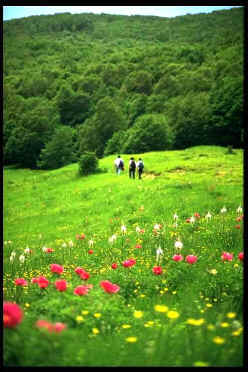 Turisti nel Parco